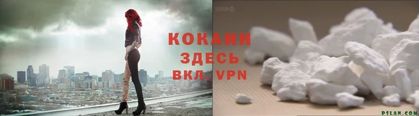 дживик Горняк