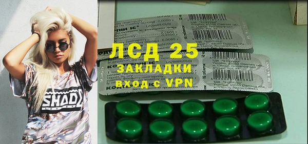 дживик Горняк