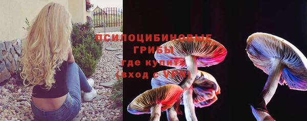 дживик Горняк